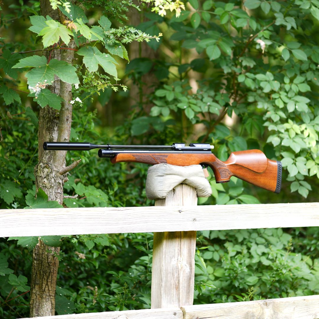 AIR ARMS S400F CARBINE .22
