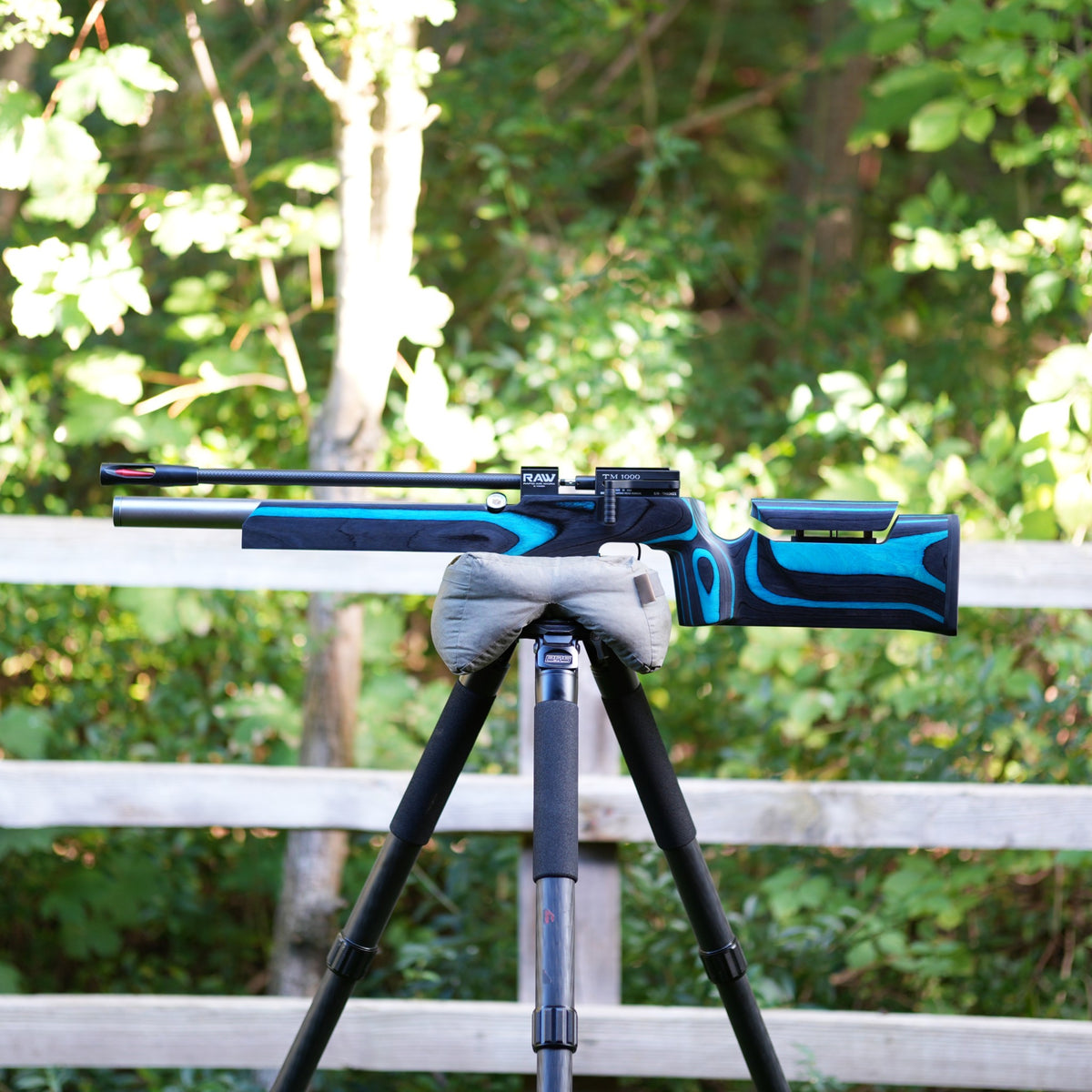 RAW TM1000 NSRA Benchrest .177