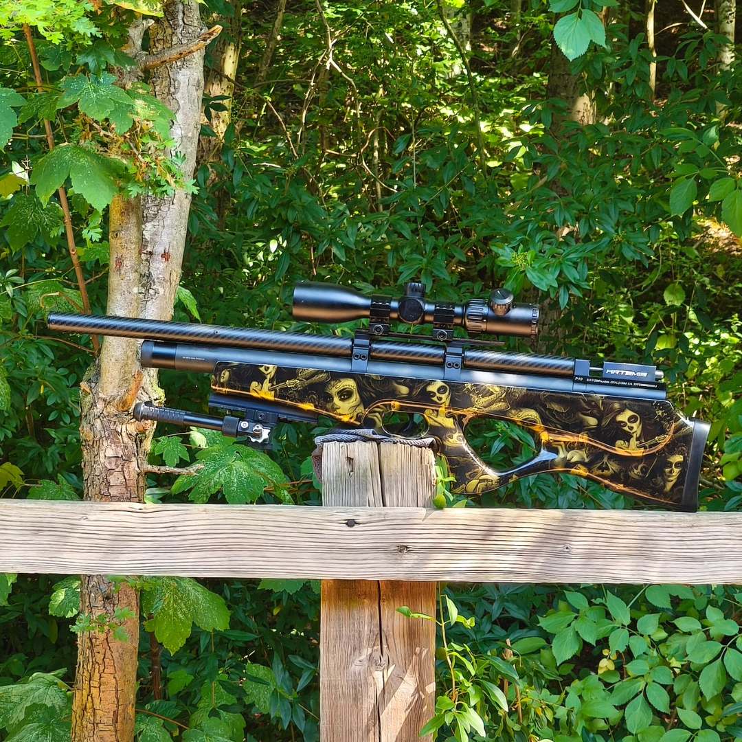 SMK P10 ARTEMIS CUSTOM .22 FAC