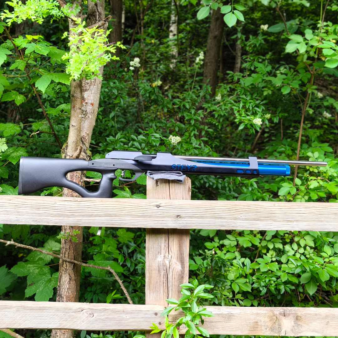 STEYR LG110 CHALLENGE HUNTING .20 FAC