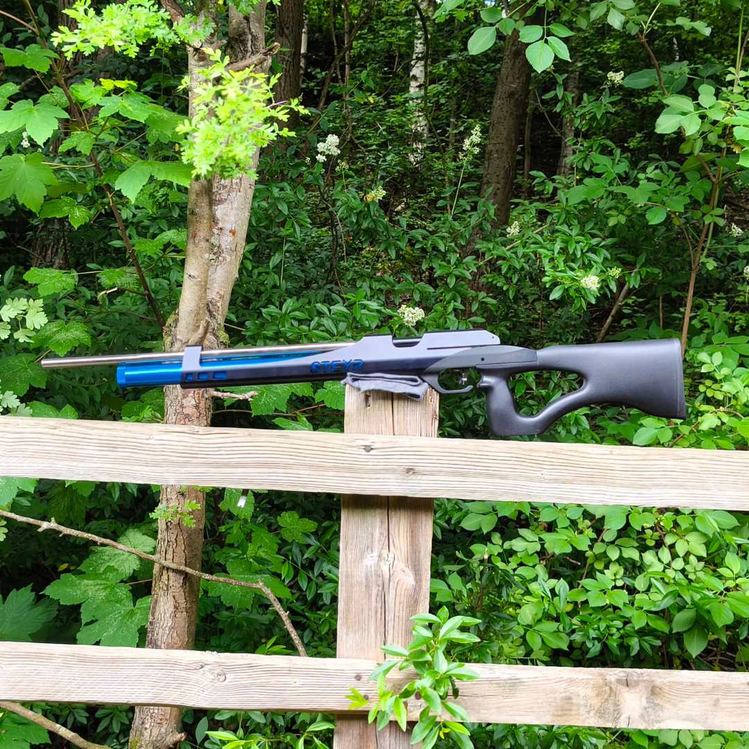STEYR LG110 CHALLENGE HUNTING .20 FAC