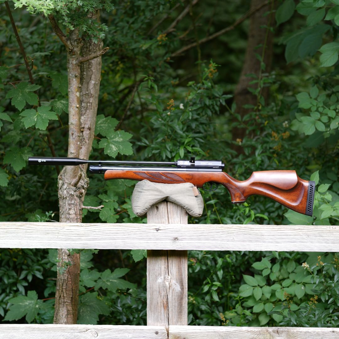 AIR ARMS S510R CORE .22