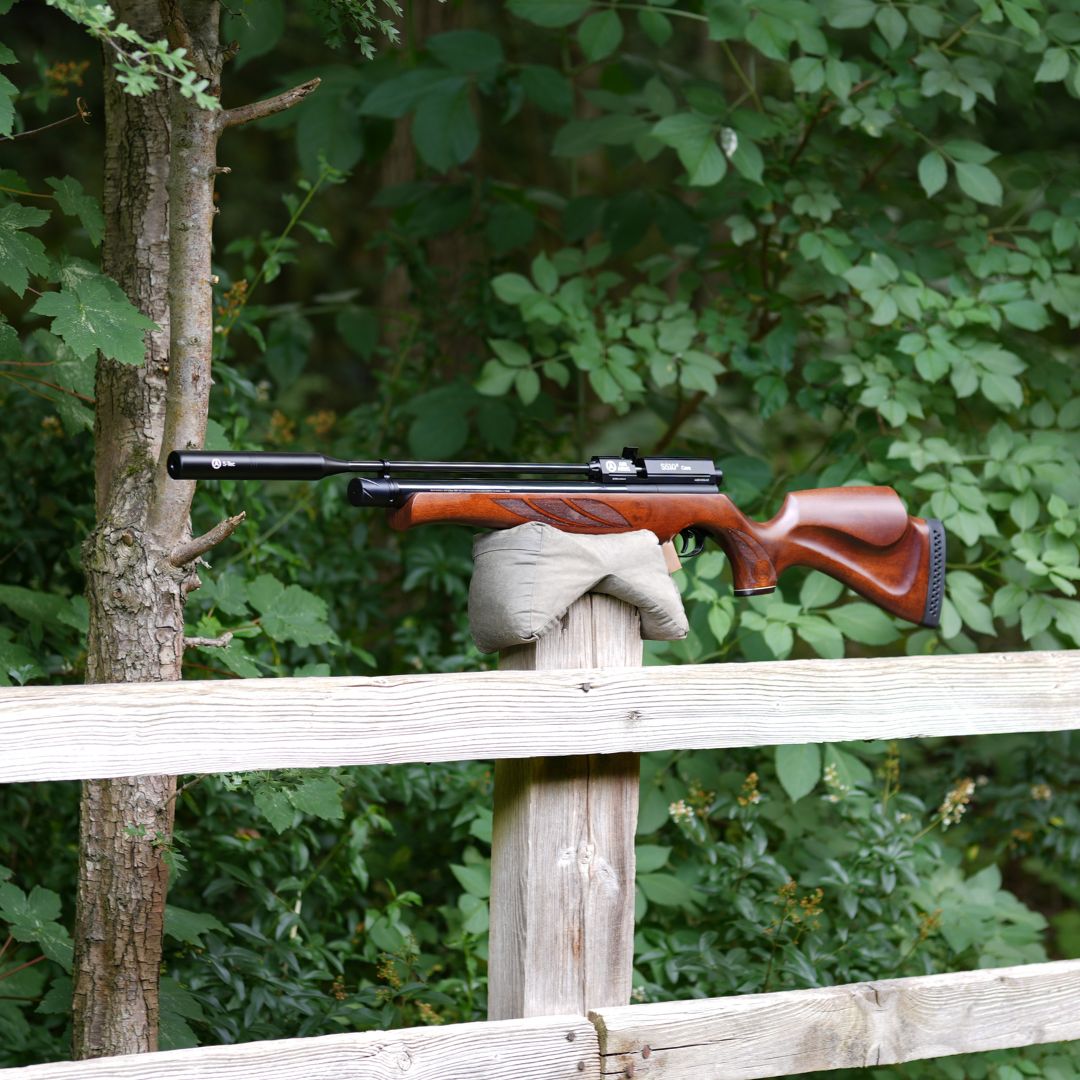 AIR ARMS S510R CORE .22