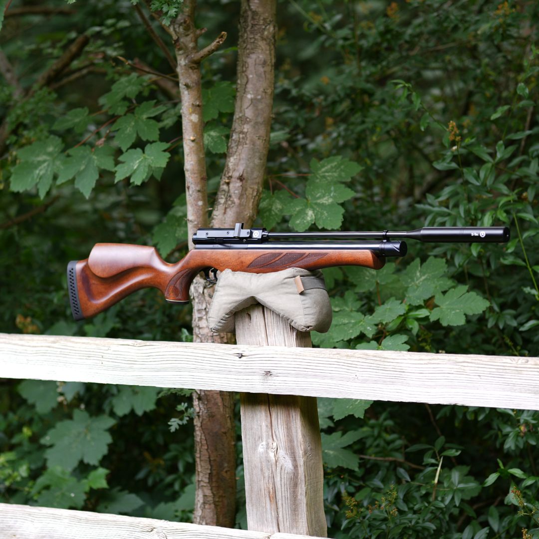 AIR ARMS S510R CORE .22
