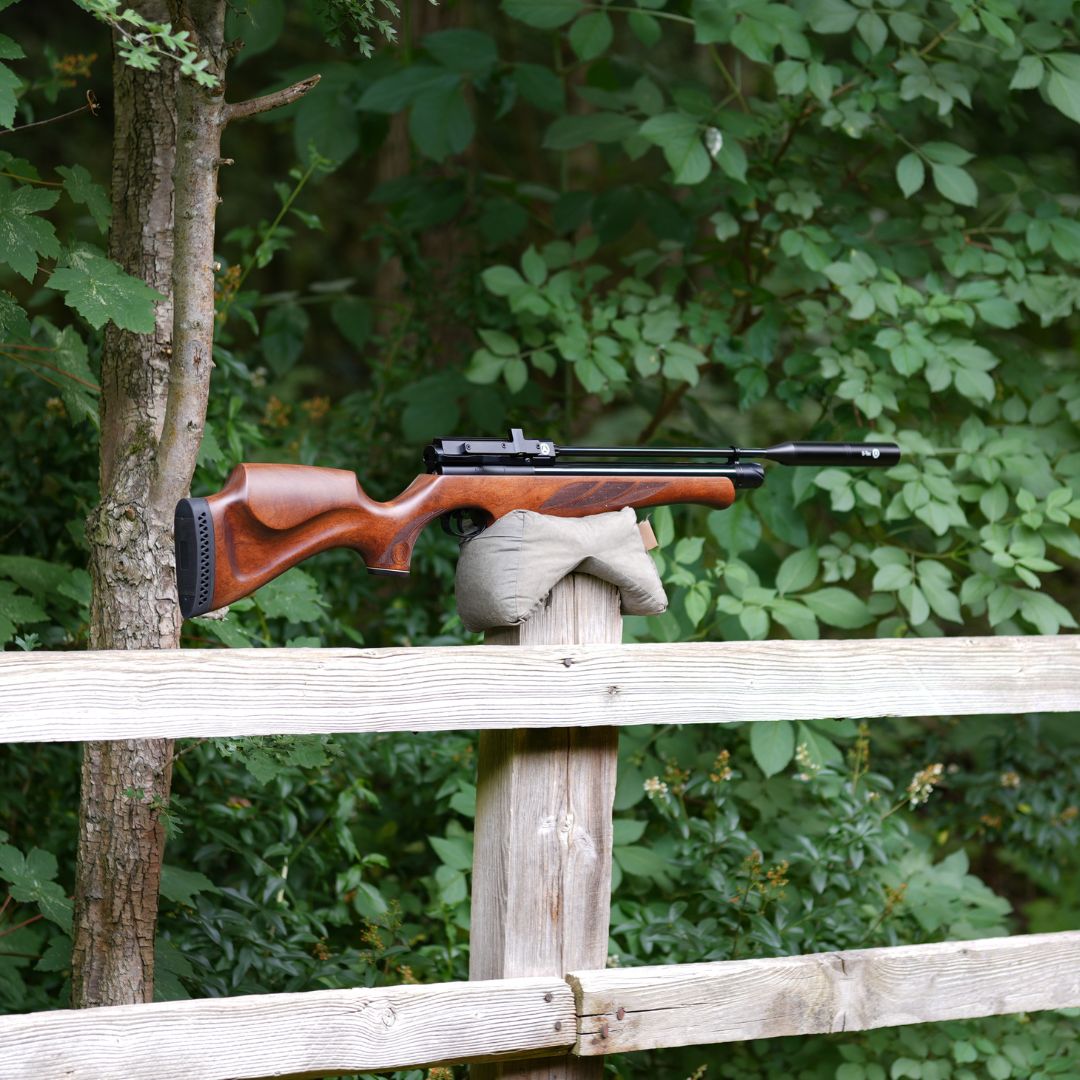AIR ARMS S510R CORE .22