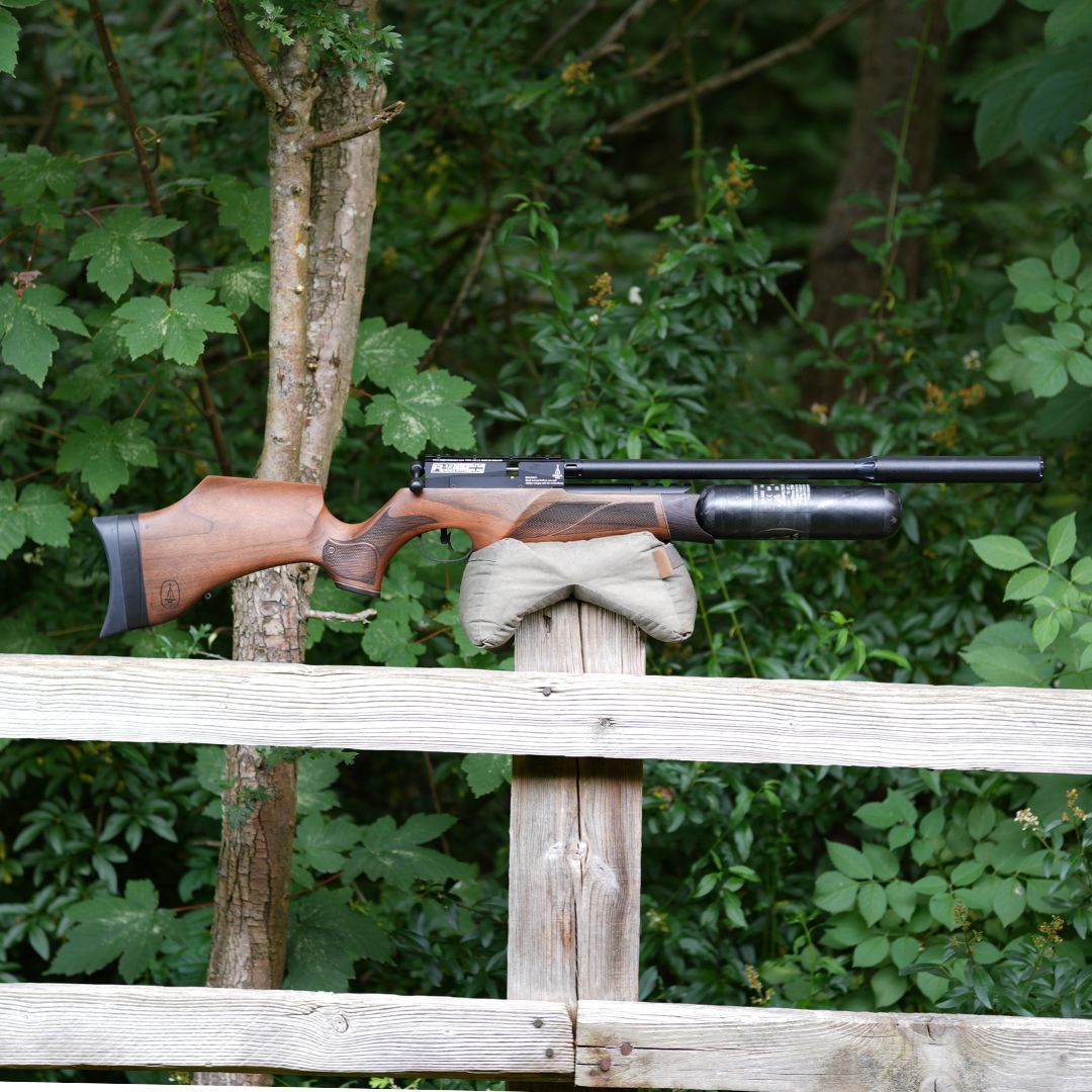 BSA R12 CLX WALNUT .22