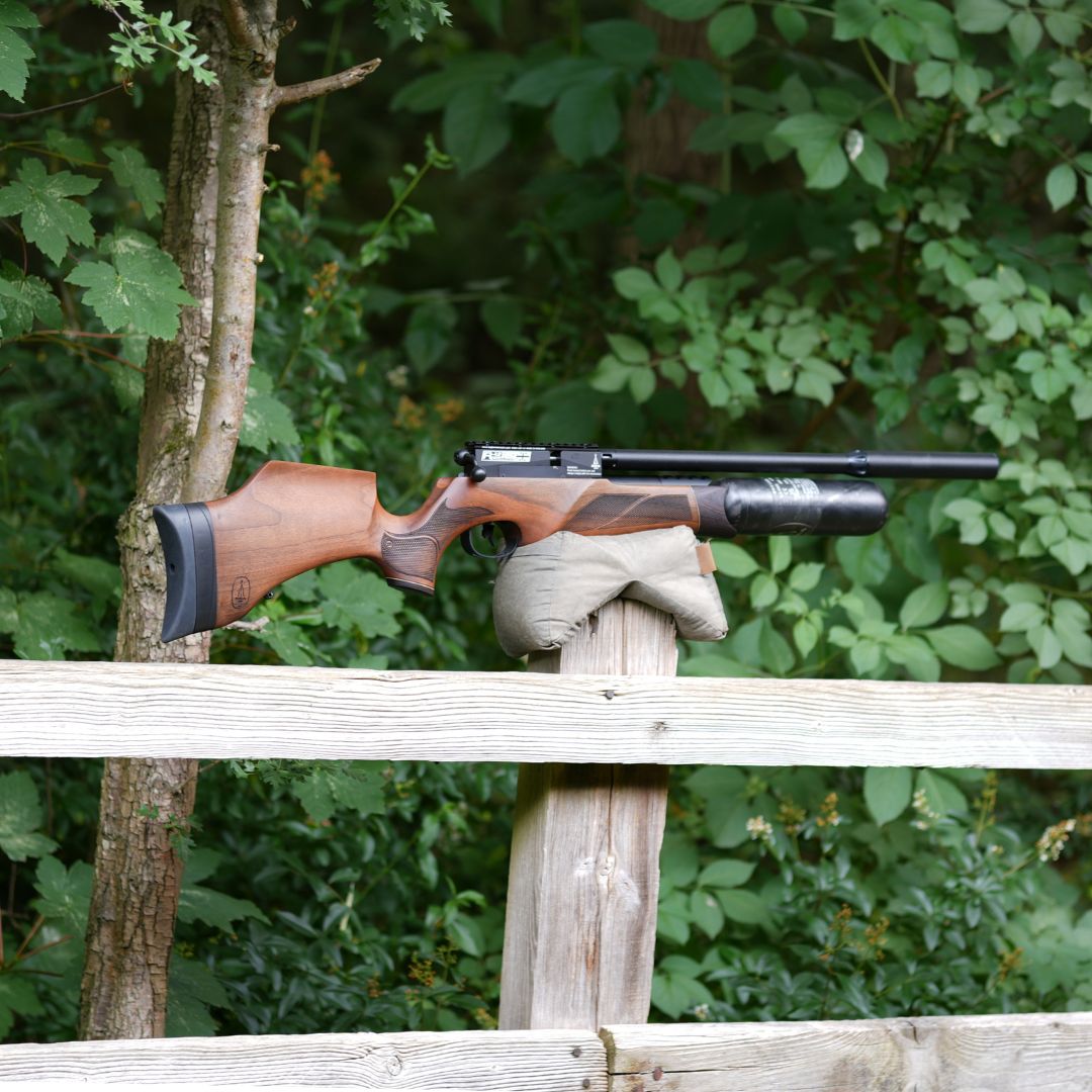 BSA R12 CLX WALNUT .22