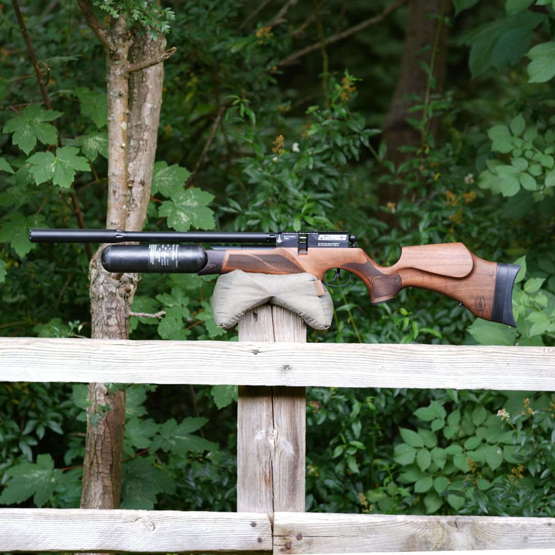 BSA R12 CLX WALNUT .22