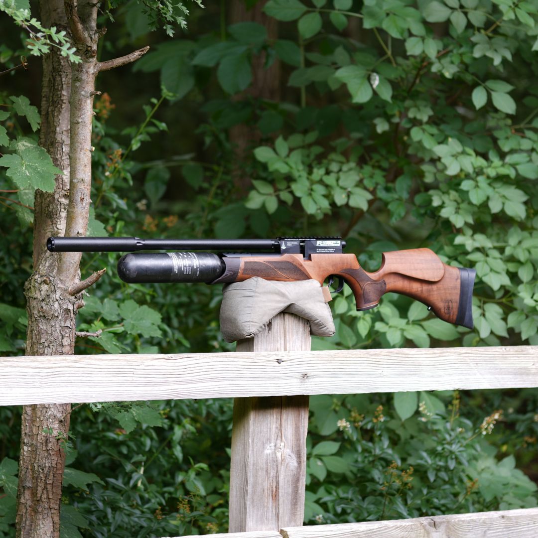 BSA R12 CLX WALNUT .22