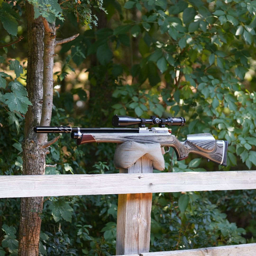 Daystate Royal Limited Edition .22