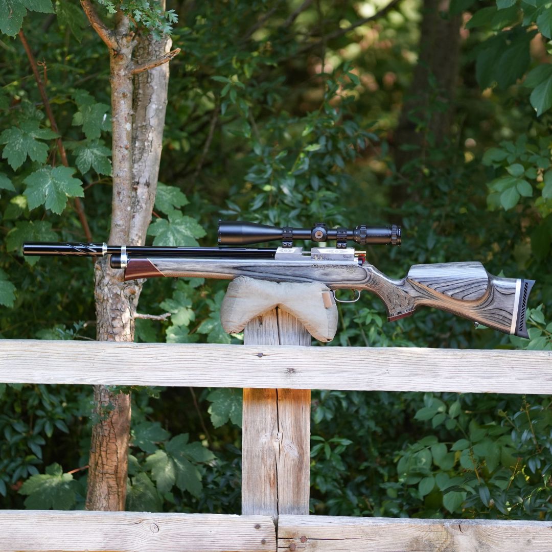 Daystate Royal Limited Edition .22