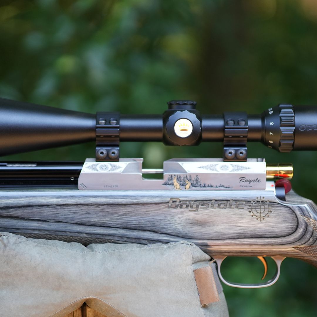 Daystate Royal Limited Edition .22
