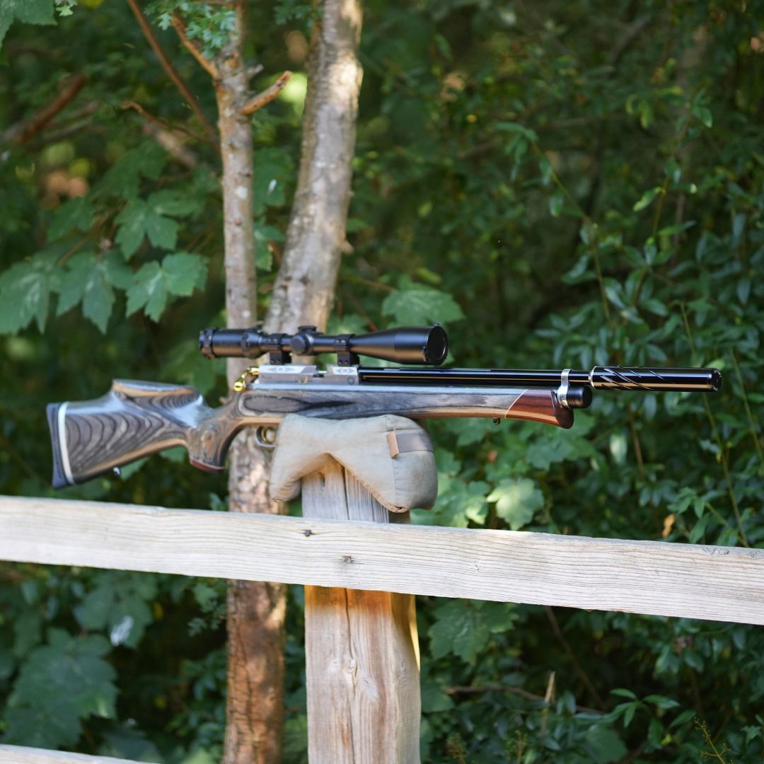 Daystate Royal Limited Edition .22