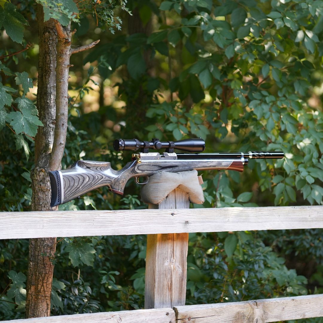 Daystate Royal Limited Edition .22