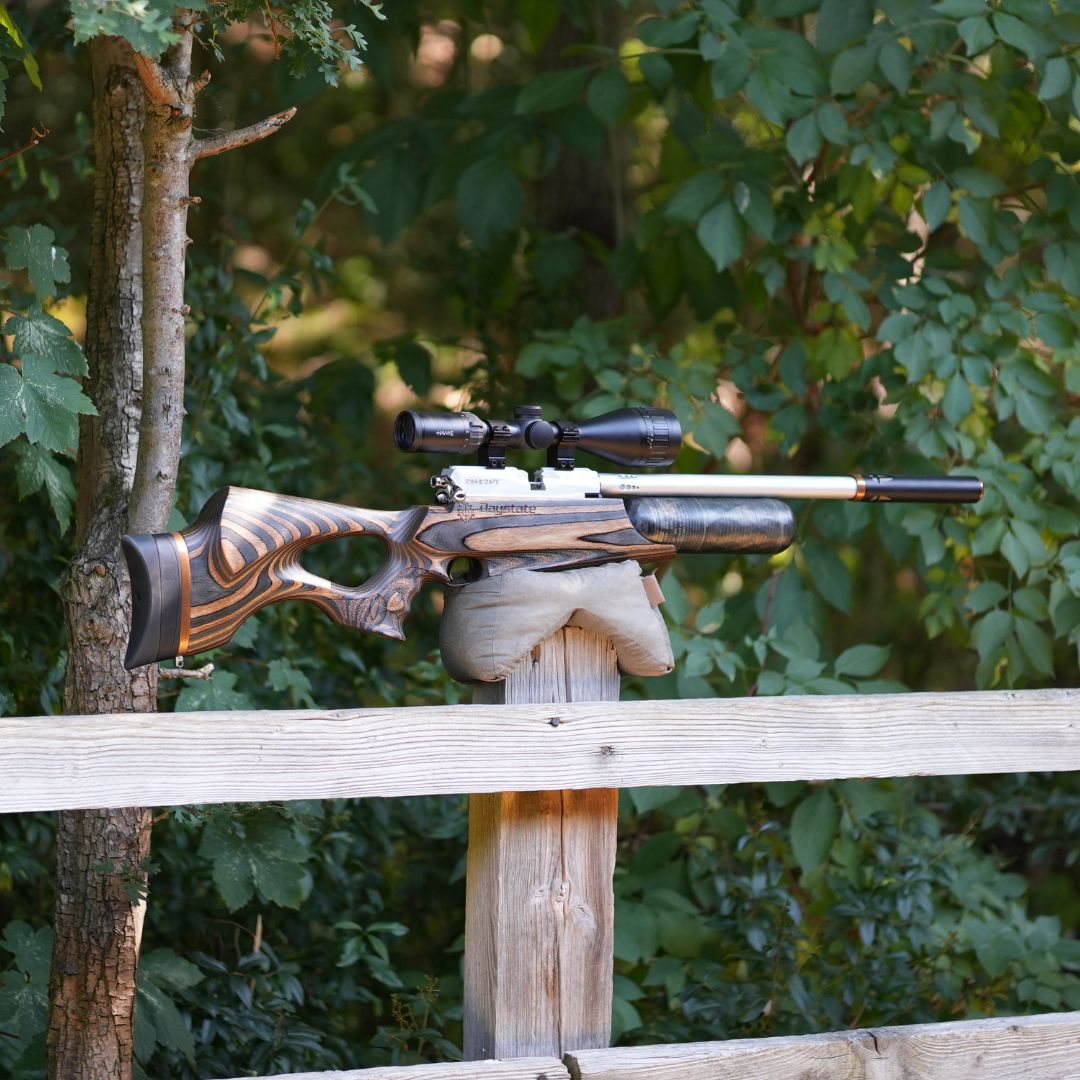 Daystate Saxon Limited Edition .22