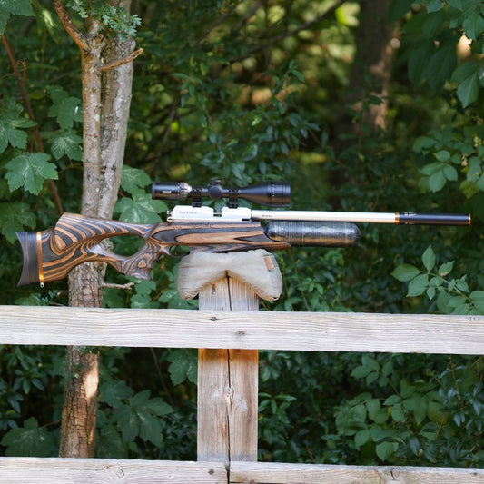 Daystate Saxon Limited Edition .22