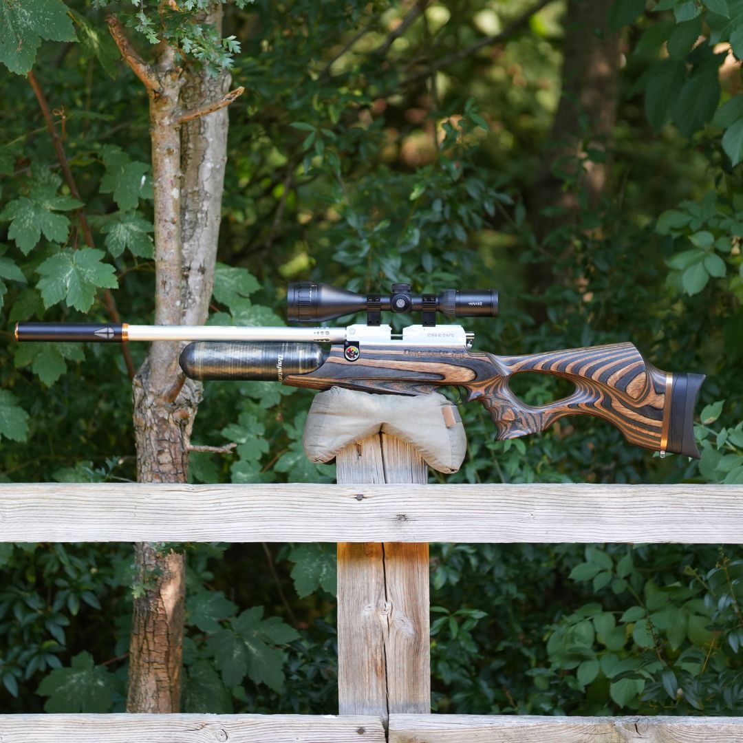 Daystate Saxon Limited Edition .22