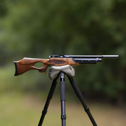 Daystate Wolverine C Type .22