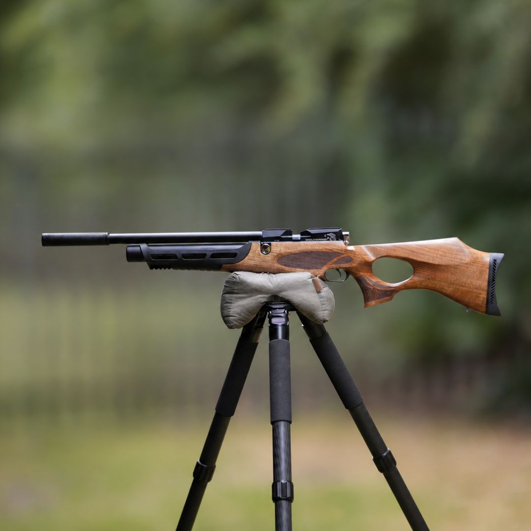 Daystate Wolverine C Type .22