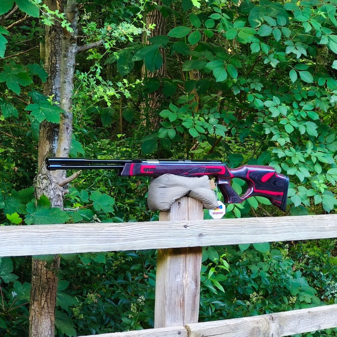 WEIHRAUCH HW 97 KT JUBILEE .22
