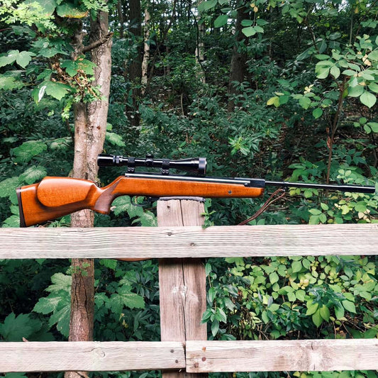 WEIHRAUCH HW 90K .22