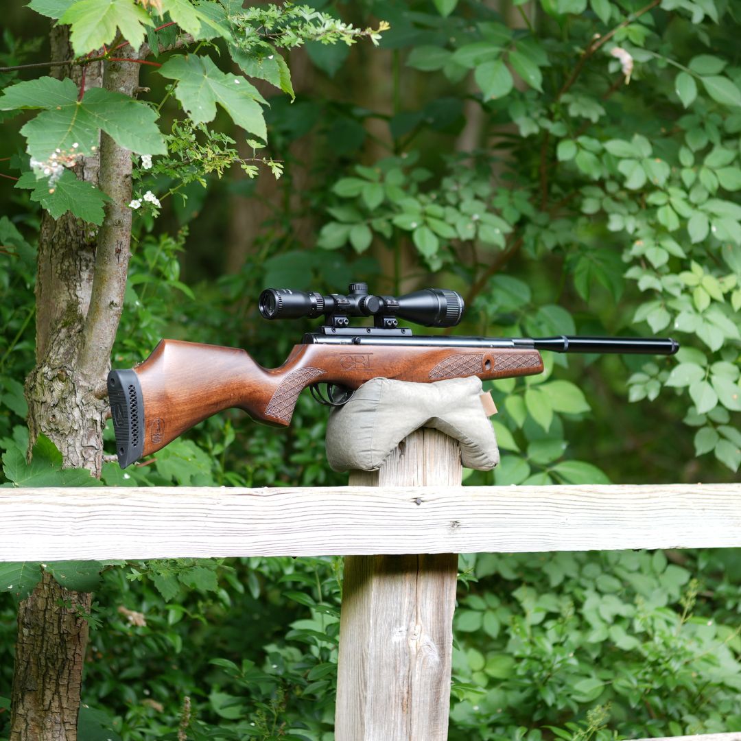 BSA LIGHTNING GRT .22