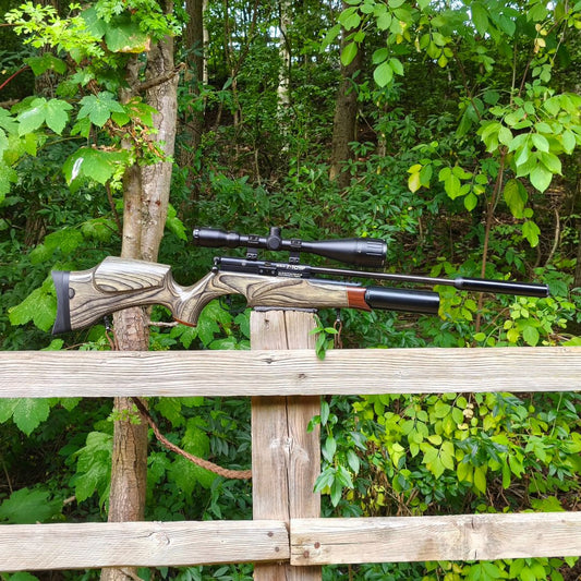 BSA R10 MK2 LAMINATE .22