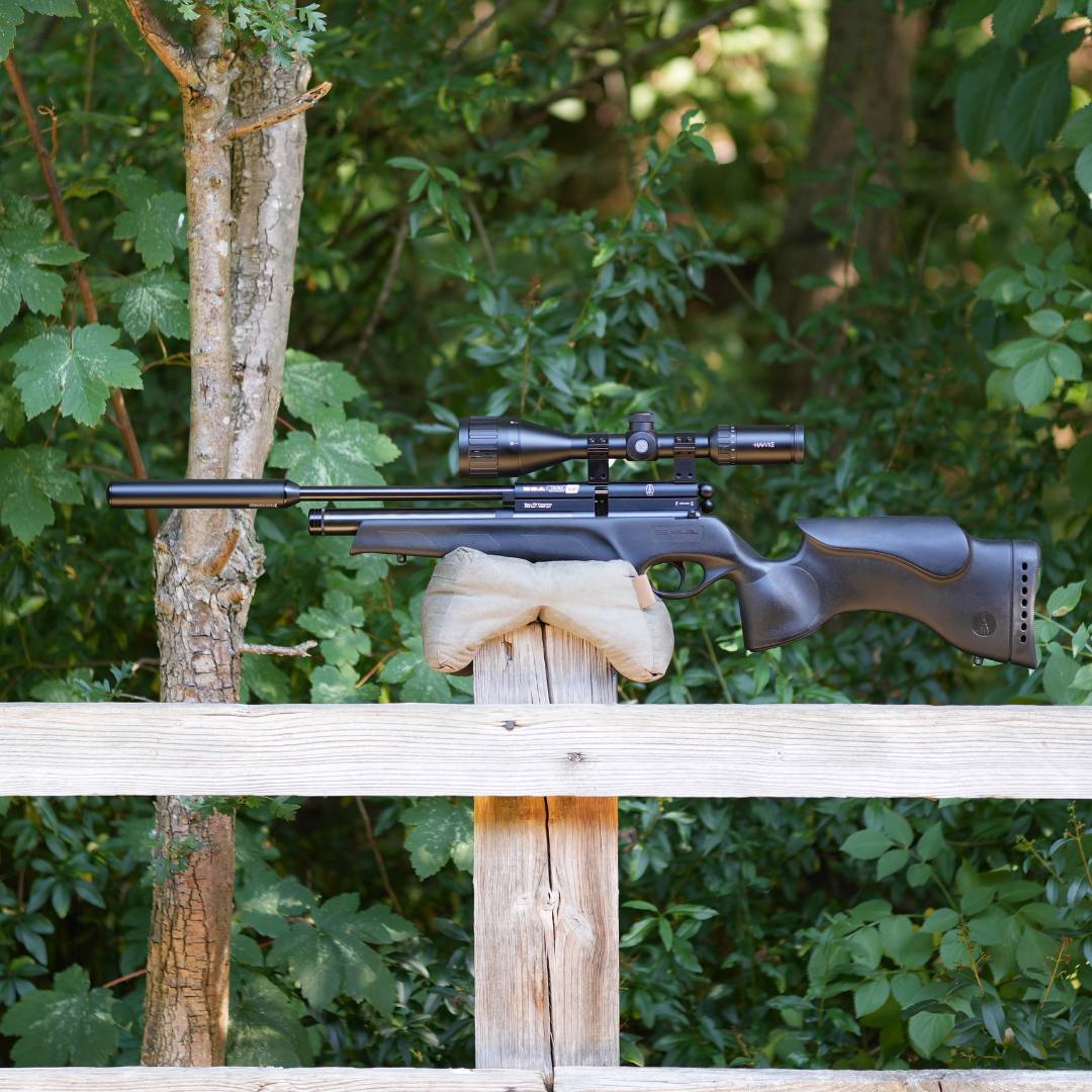 BSA Ultra SE .22