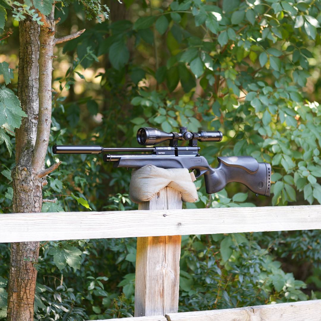 BSA Ultra SE .22