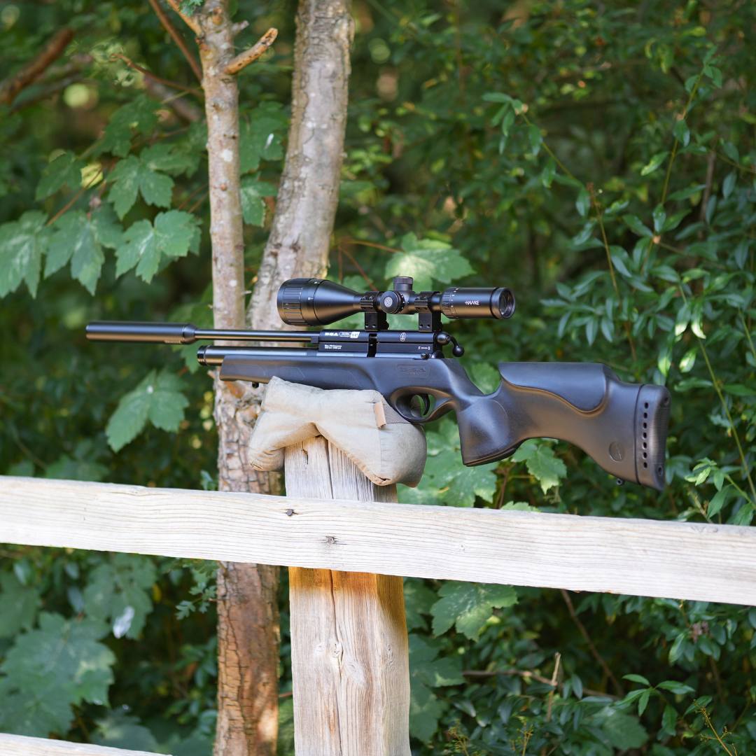 BSA Ultra SE .22