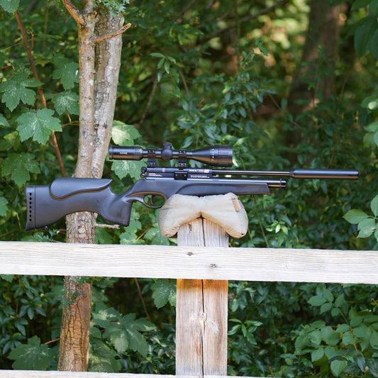 BSA Ultra SE .22