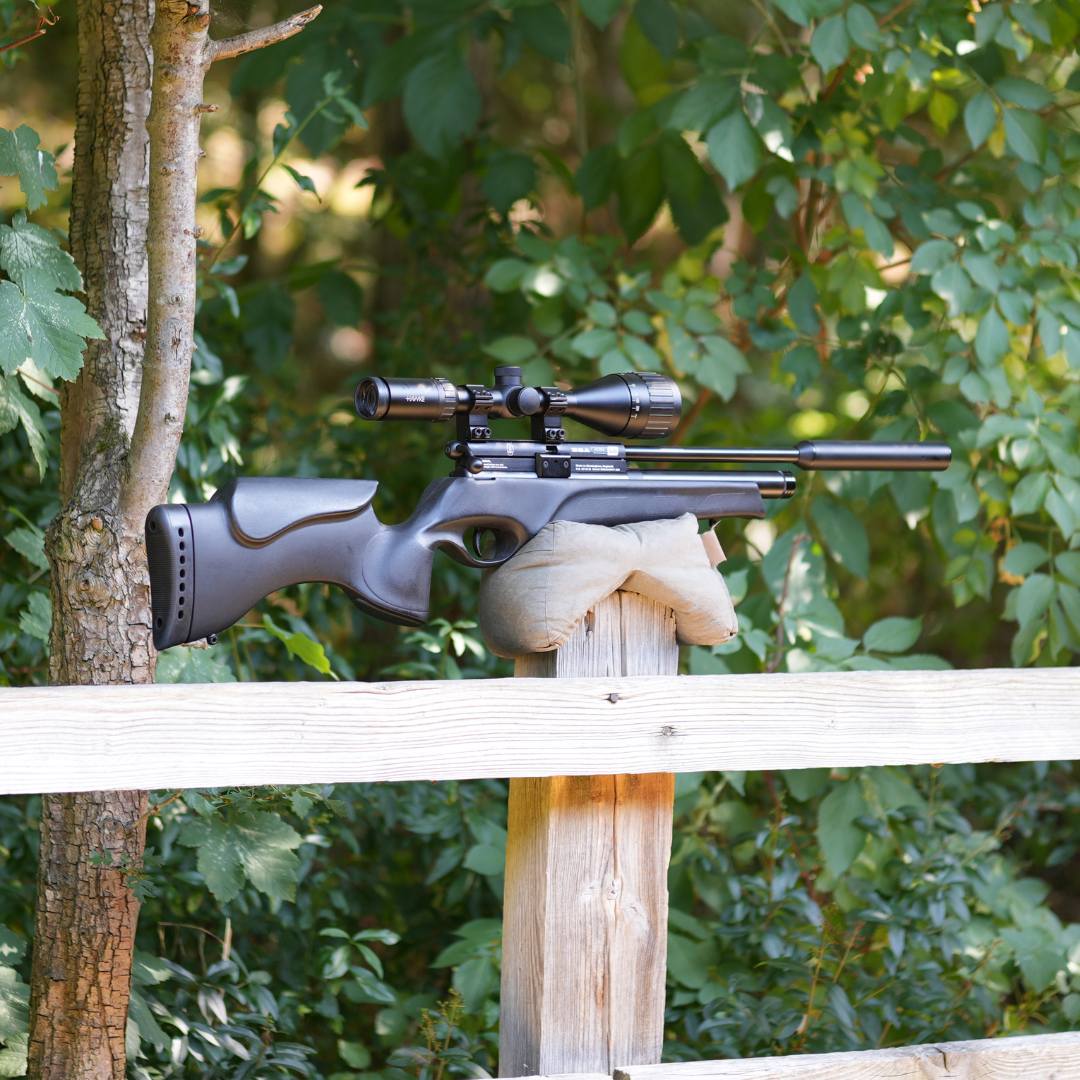 BSA Ultra SE .22