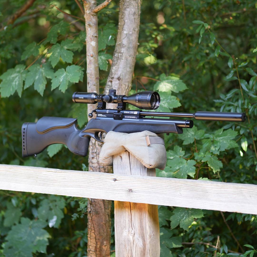 BSA Ultra SE .22