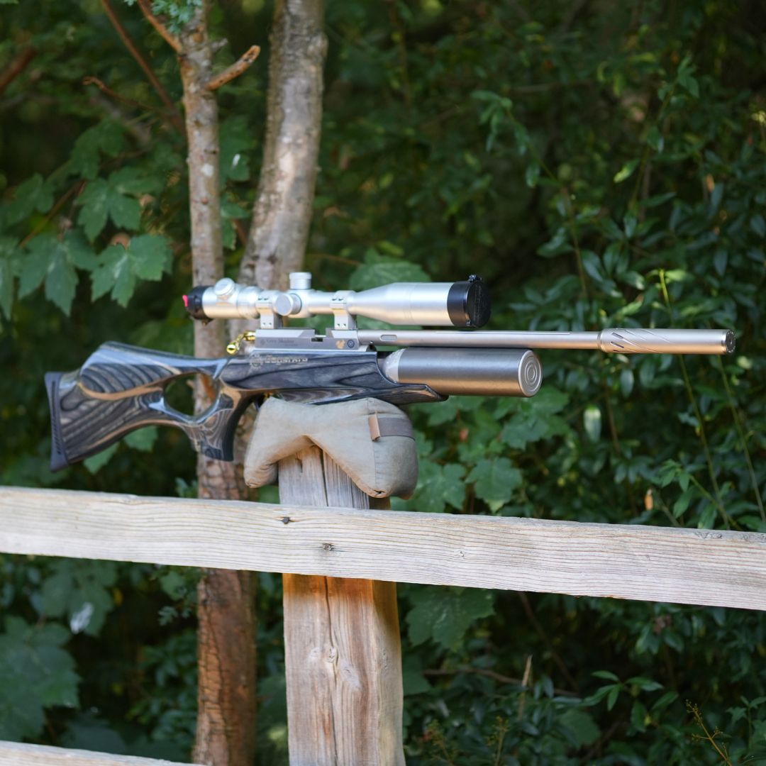 Daystate Grey Shadow Limited Edition .22