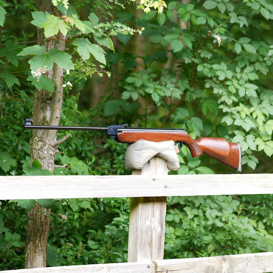 WEIHRAUCH HW80 .22