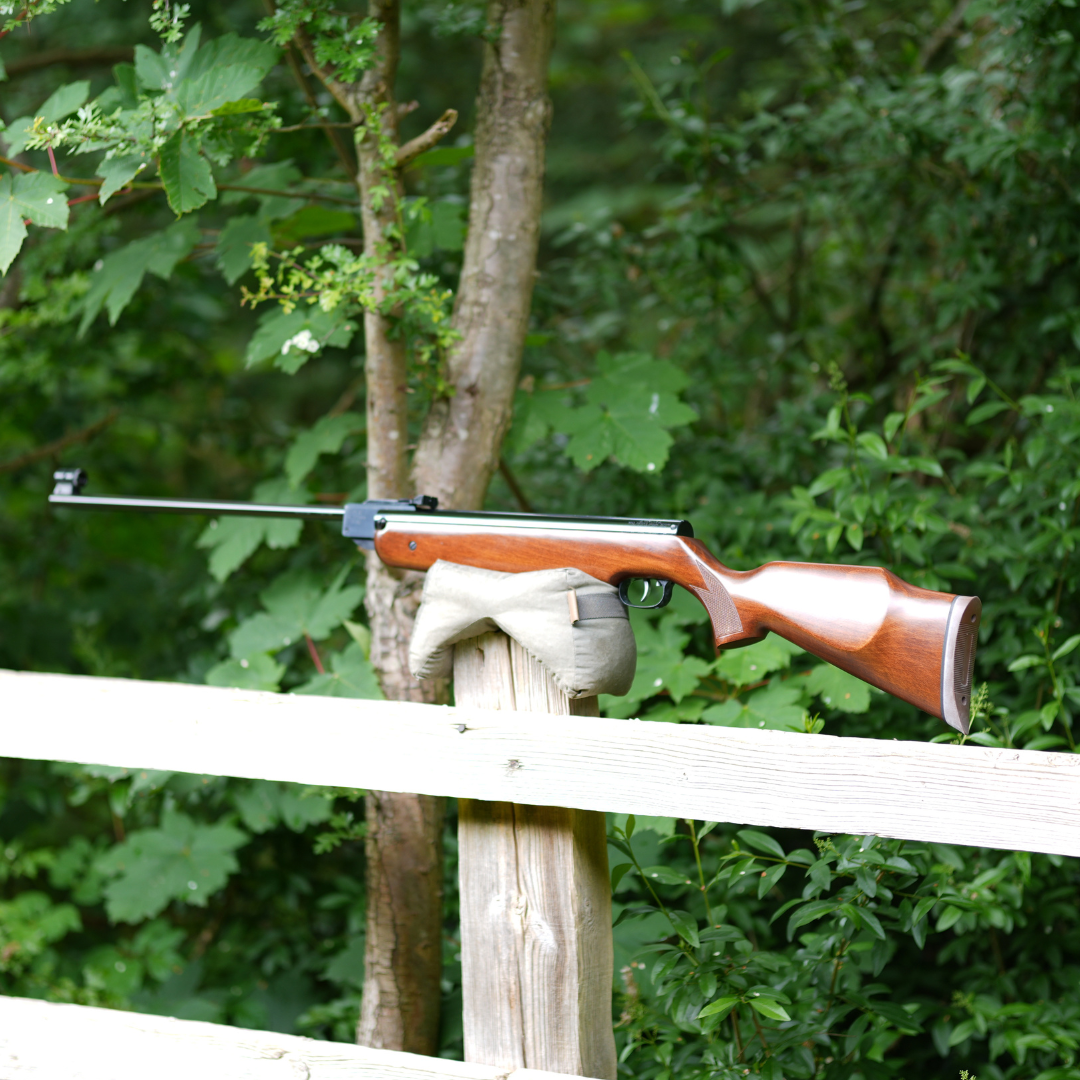 WEIHRAUCH HW80 .22