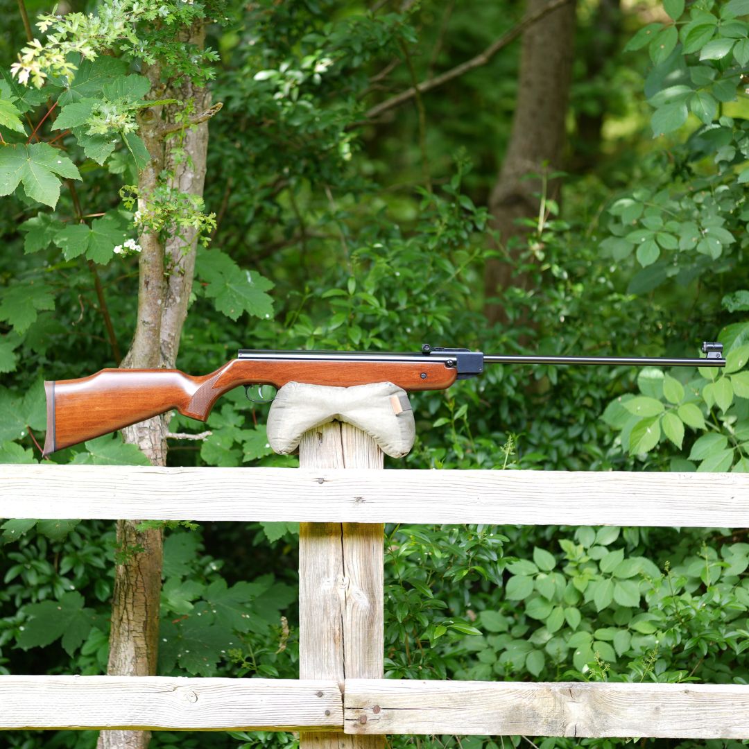 WEIHRAUCH HW80 .22