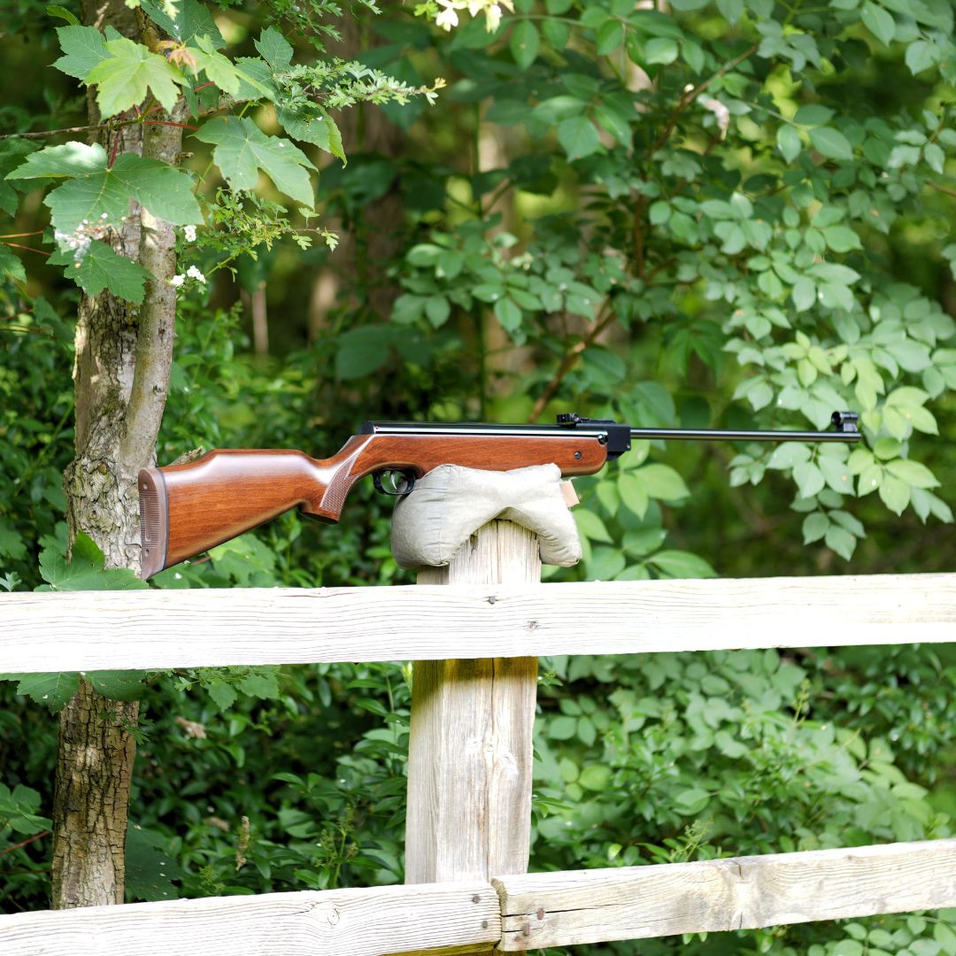 WEIHRAUCH HW80 .22