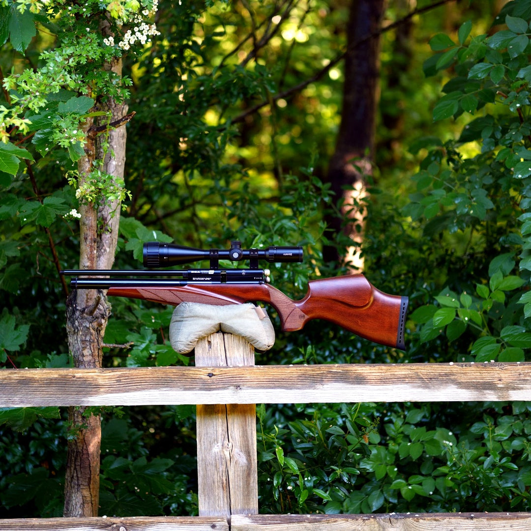 BSA SCORPION SE .22