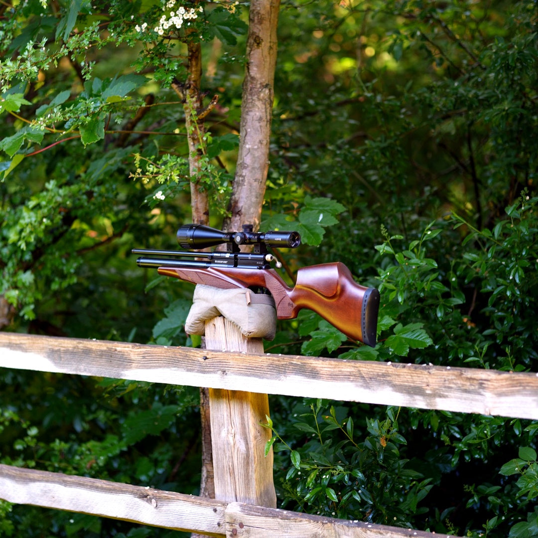 BSA SCORPION SE .22