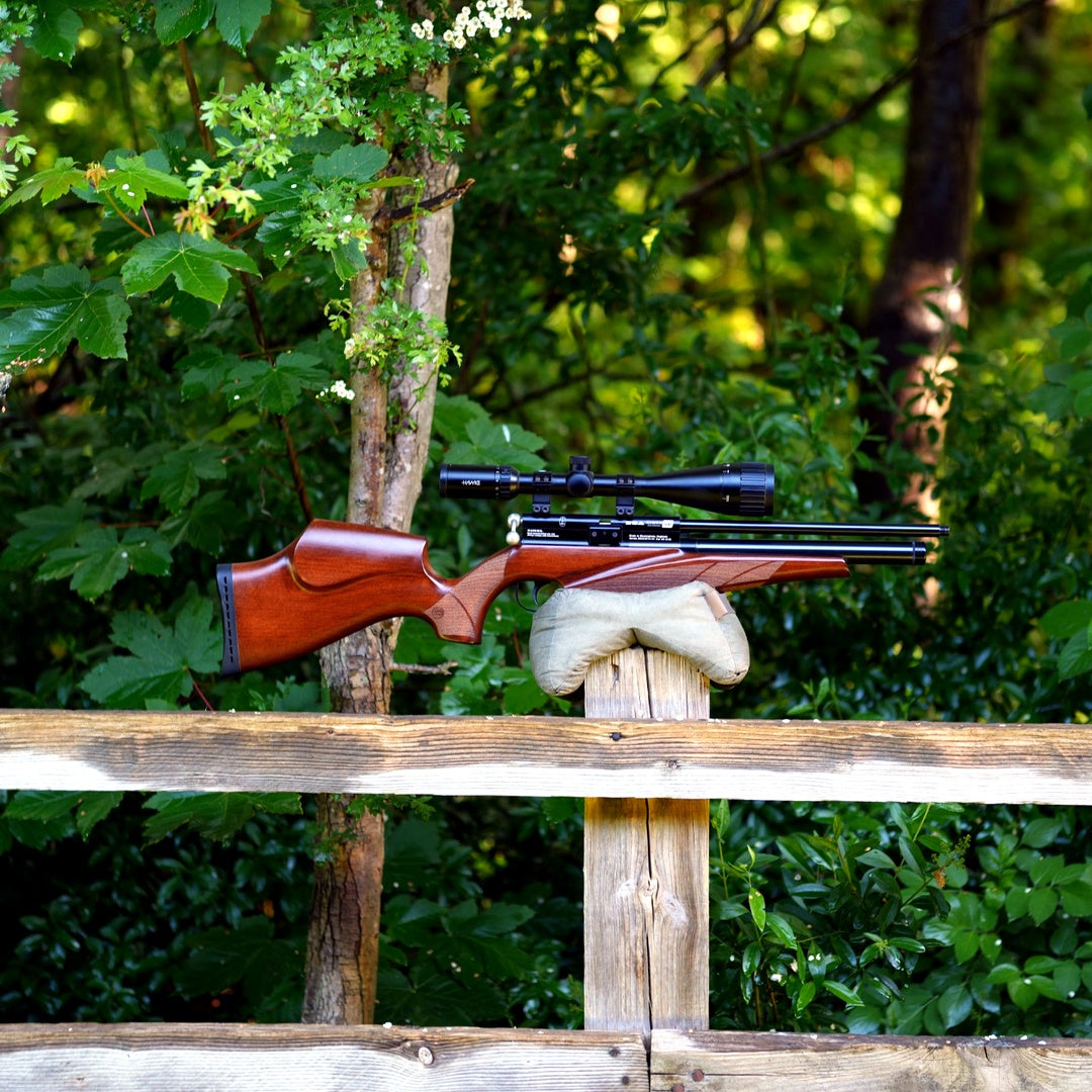 BSA SCORPION SE .22