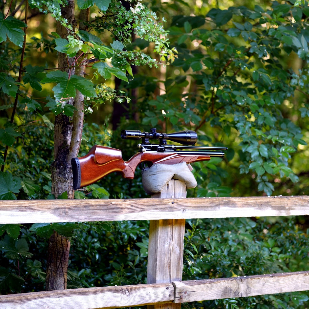 BSA SCORPION SE .22